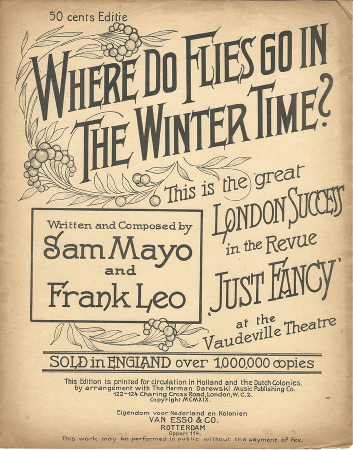 Cover for Sam Mayo | Frank Leo | Where do Flies go in The Winter Time | Piano | Vocals