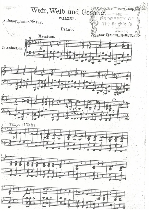 Cover for Johann Strauss | Wein Weib und Gesang | Orchestra